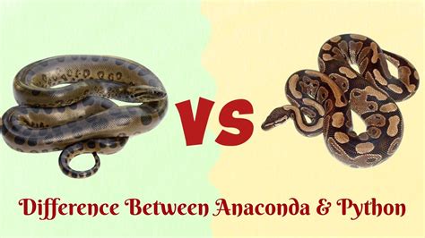 which is more powerful python or anaconda