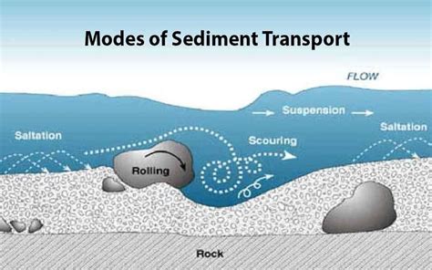 which is not a sediment transporting agent