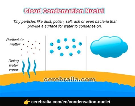 Which Is Not An Example Of Condensation Nuclei