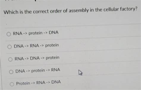 Which Is The Correct Order Of Assembly In The Cellular Factory