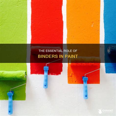 Which Is The Function Of A Paint Binder
