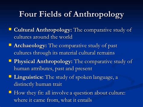 which is the main object of study in anthropology