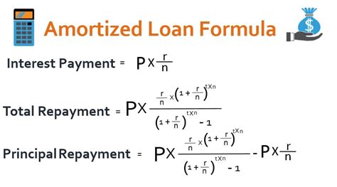 which loans are amortized