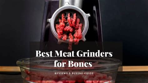 Which Meat Grinder Can Grind Bones