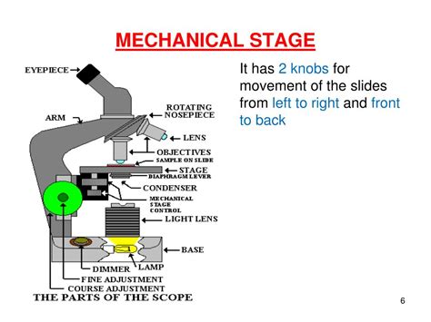 Which Microscope Part Functions To Move The Mechanical Stage Left And Right
