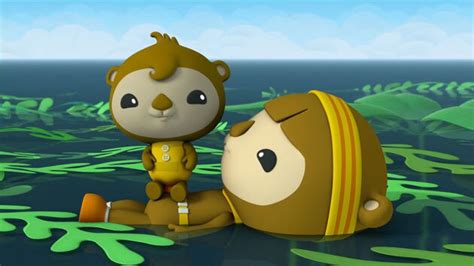 which octonauts has a lion in it