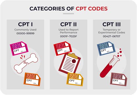 which of the following codes is considered a category code