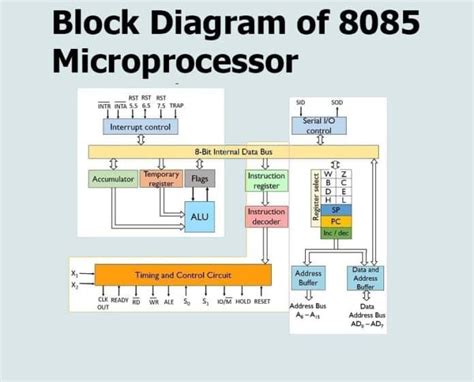 Which Of The Following Is A Microprocessor