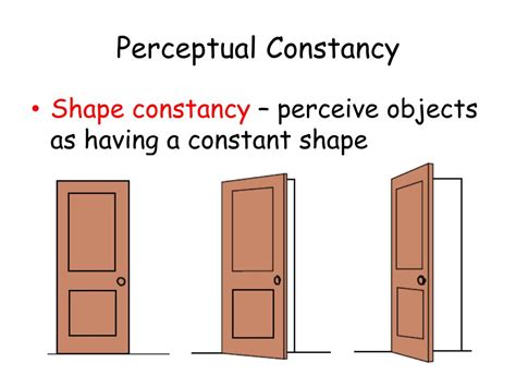 Which Of The Following Is An Example Of Shape Constancy