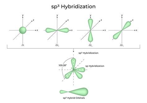 which of the following is an example of sp hybridization