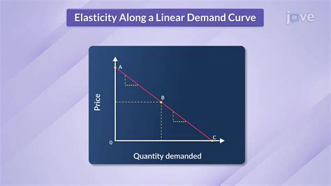 which of the following is the elasticity of linear demand curve