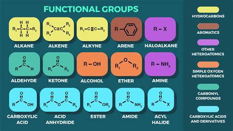 which of the functional groups behaves as a base