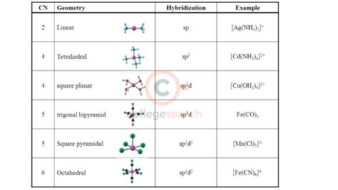 which of these is an example of hybridization