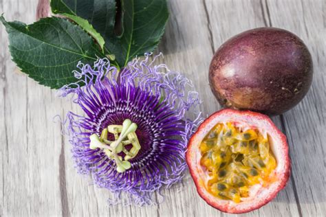 which passion flowers produce fruit