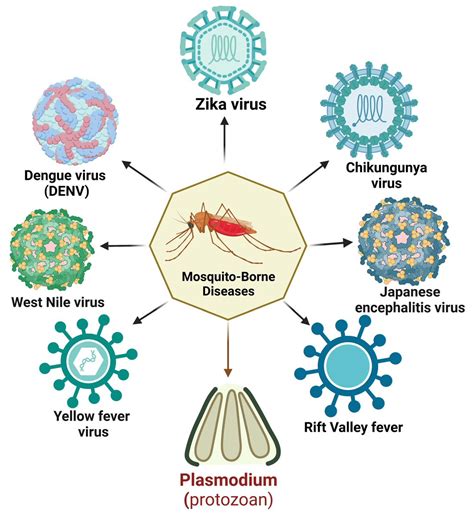 which pathogen causes dengue