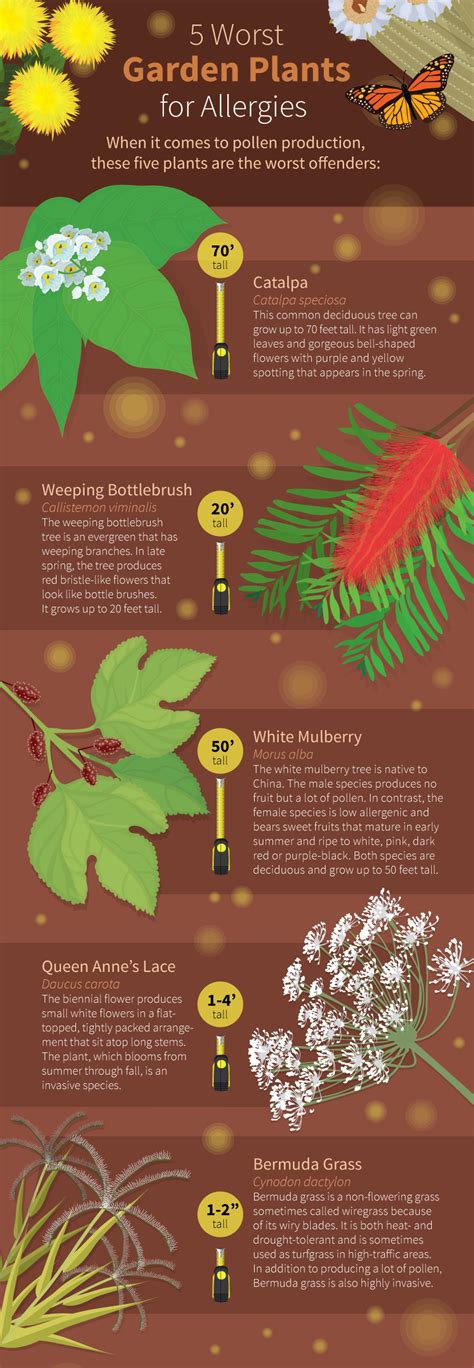 Which Plants Cause Allergies