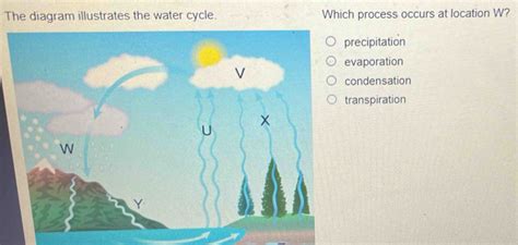 which process occurs at location w