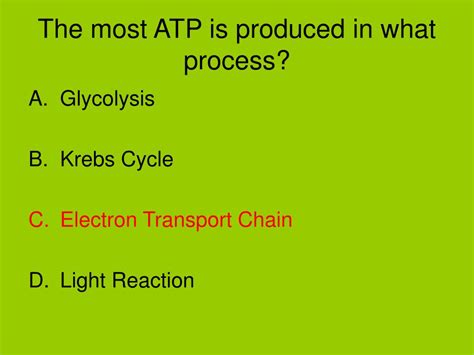 which process produces the most atp