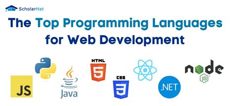 which program language is used for web development