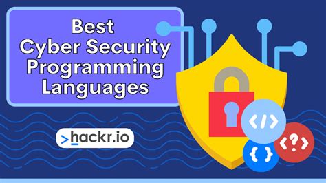 which programming language is mostly used in cyber security