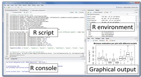 which programming language is widely used for data analysis and statistical computing