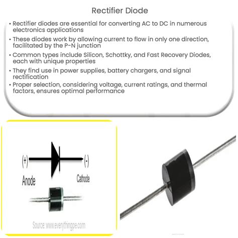 Which Rectifier Is Best