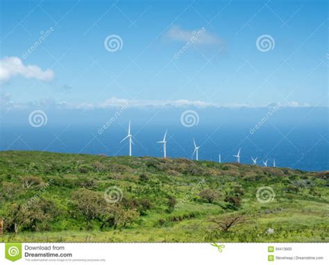 Which Side Of Maui Is Windy