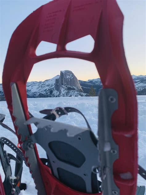 Which Snowshoes Reddit