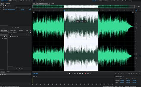 which software is commonly used for editing audio in multimedia