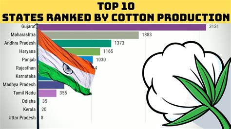 which state produces most cotton