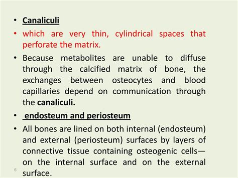 which statements characterize canaliculi