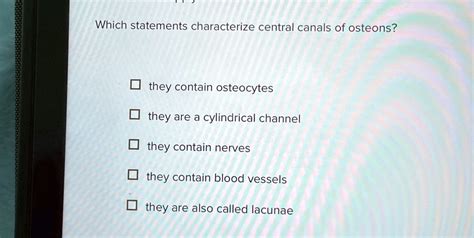 which statements characterize osteocytes