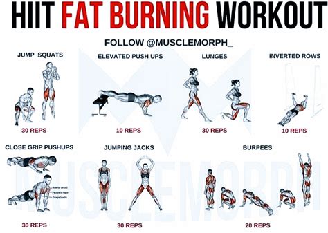 Which Strength Training Burns Fat