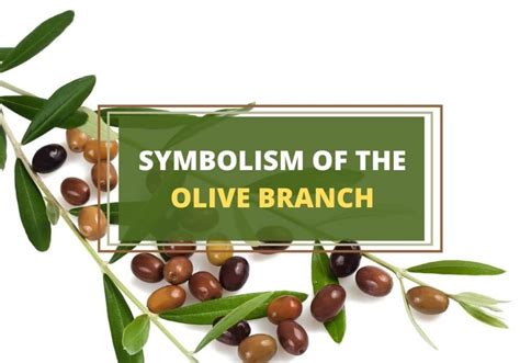 which tree branch is a symbol of peace