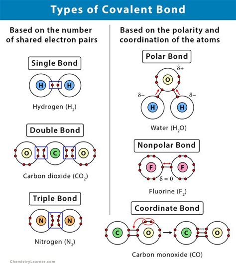 which type of bond is the strongest in cells