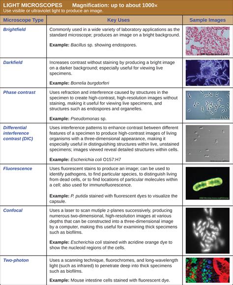 Which Type Of Light Microscopy Is Used To Visualize Stained Specimens