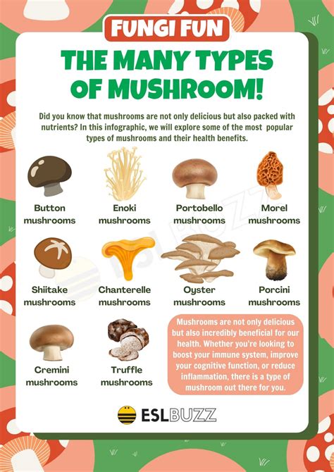 which type of mushroom is in demand