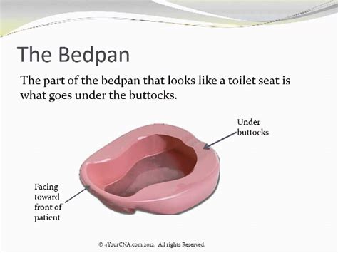 Which Way Does A Bedpan Go