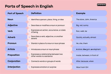 while which type of part of speech
