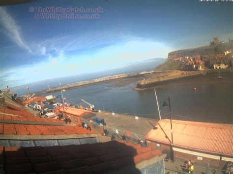 whitby web cams