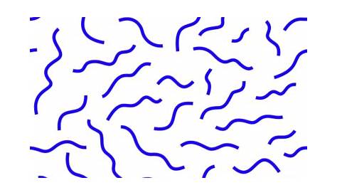 Squiggly Line Drawn By Illustrator - Squiggly Line Png Clipart - Full