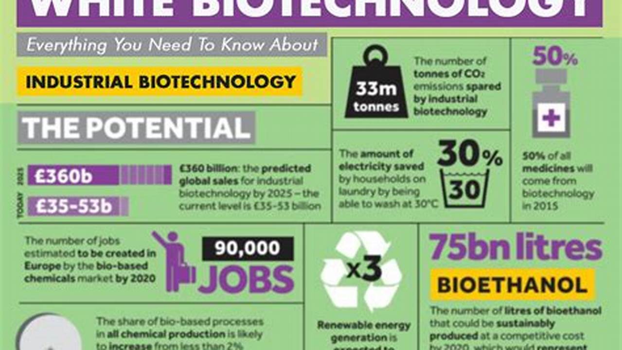 Unlock the Power of White Biotechnology: A Guide to Sustainable Innovation in Biotech