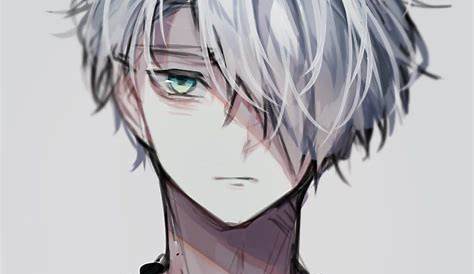 Pin by 魚丸 on Аниме | Cute anime character, White hair anime guy