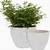 white plant pot with drainage