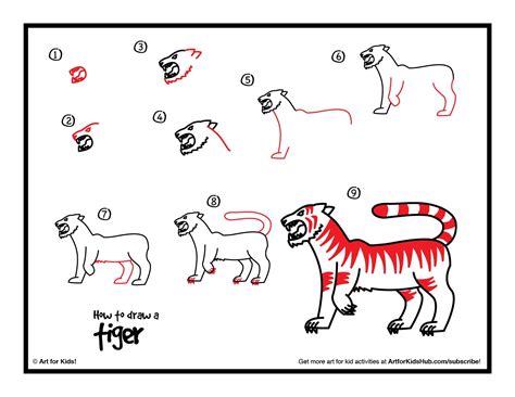 Transhu Simple Tiger Face Drawing Step By Step