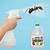 white vinegar to kill ants