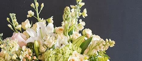 white's florist clarks summit pa