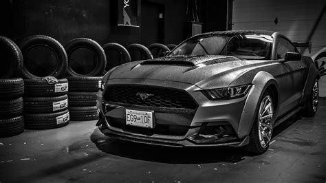 white and black mustang