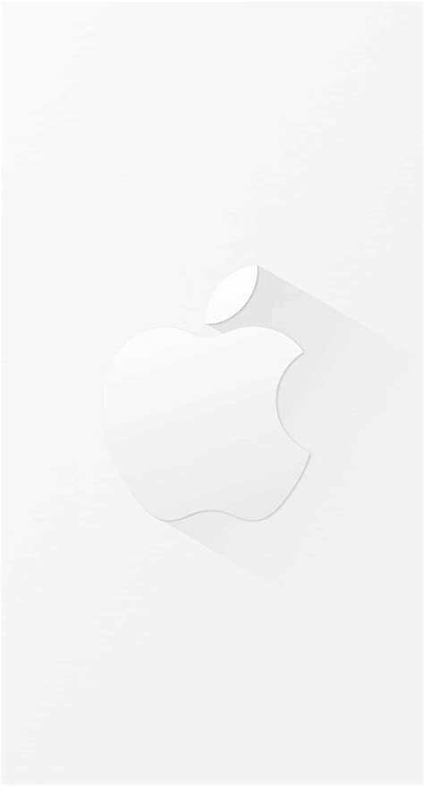 White Background On Iphone 11