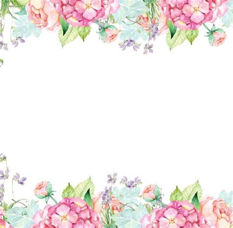 White Background With Flower Border